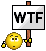 WTF.gif